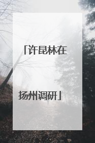 许昆林在扬州调研