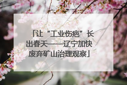 让“工业伤疤”长出春天——辽宁加快废弃矿山治理观察