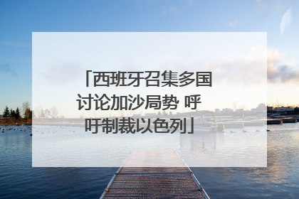 西班牙召集多国讨论加沙局势 呼吁制裁以色列