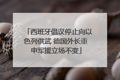 西班牙倡议停止向以色列供武 德国外长重申军援立场不变