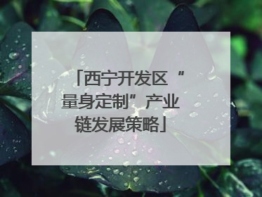 西宁开发区“量身定制”产业链发展策略