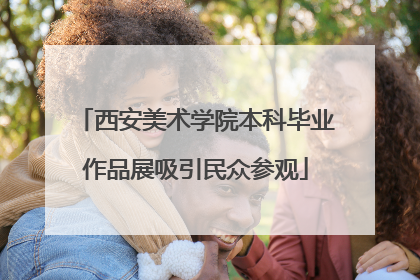 西安美术学院本科毕业作品展吸引民众参观