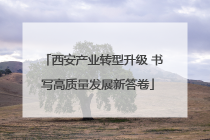 西安产业转型升级 书写高质量发展新答卷