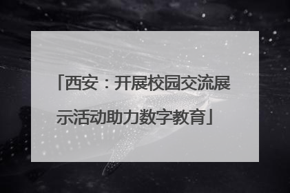 西安：开展校园交流展示活动助力数字教育