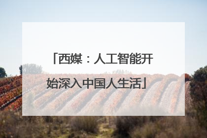 西媒：人工智能开始深入中国人生活