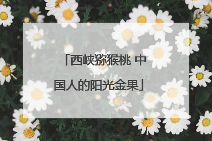 西峡猕猴桃 中国人的阳光金果