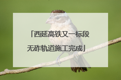 西延高铁又一标段无砟轨道施工完成