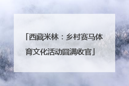 西藏米林：乡村赛马体育文化活动圆满收官