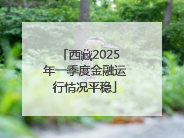 西藏2025年一季度金融运行情况平稳