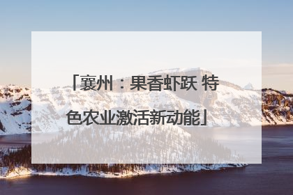襄州：果香虾跃 特色农业激活新动能