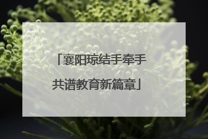 襄阳琼结手牵手 共谱教育新篇章