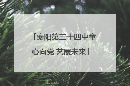 襄阳第三十四中童心向党 艺展未来