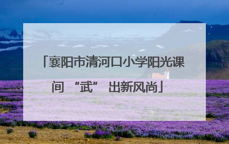 襄阳市清河口小学阳光课间 “武” 出新风尚