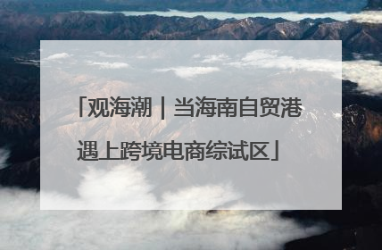 观海潮｜当海南自贸港遇上跨境电商综试区