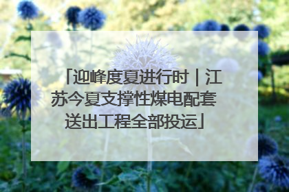 迎峰度夏进行时｜江苏今夏支撑性煤电配套送出工程全部投运