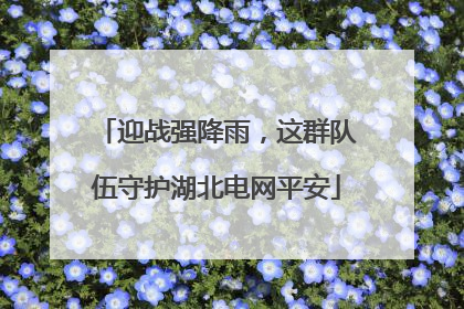 迎战强降雨，这群队伍守护湖北电网平安