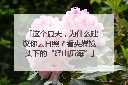 这个夏天，为什么建议你去日照？看央媒镜头下的“经山历海”