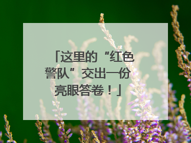 这里的“红色警队”交出一份亮眼答卷！