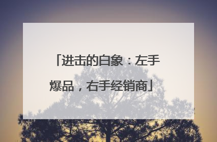 进击的白象：左手爆品，右手经销商