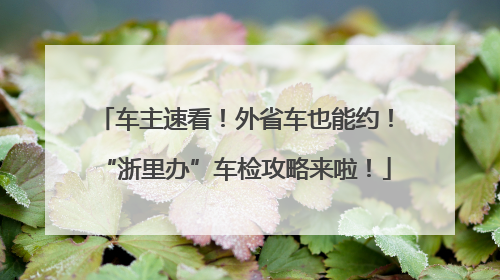 车主速看！外省车也能约！“浙里办”车检攻略来啦！
