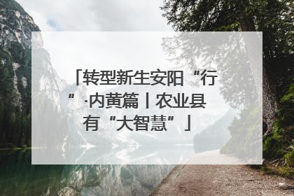 转型新生安阳“行”·内黄篇丨农业县有“大智慧”