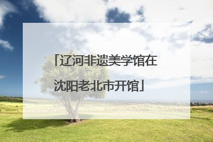 辽河非遗美学馆在沈阳老北市开馆