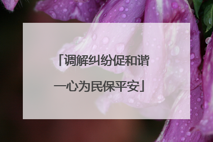 调解纠纷促和谐 一心为民保平安