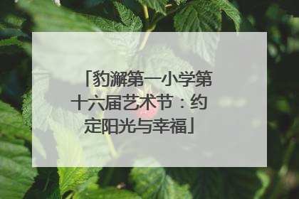 豹澥第一小学第十六届艺术节：约定阳光与幸福