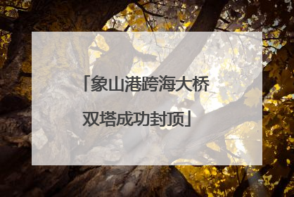 象山港跨海大桥双塔成功封顶