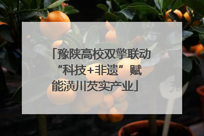 豫陕高校双擎联动 “科技+非遗”赋能潢川芡实产业
