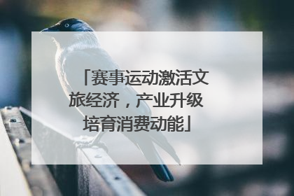 赛事运动激活文旅经济，产业升级培育消费动能