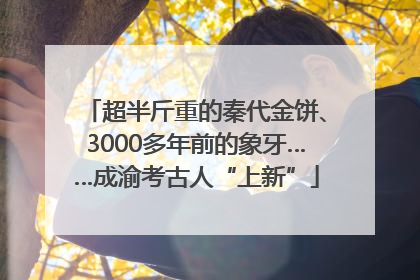 超半斤重的秦代金饼、3000多年前的象牙……成渝考古人“上新”