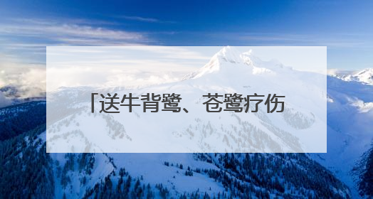 送牛背鹭、苍鹭疗伤、帮山麻雀幼鸟搬家，崇明警民救助多只受困野生保护鸟类