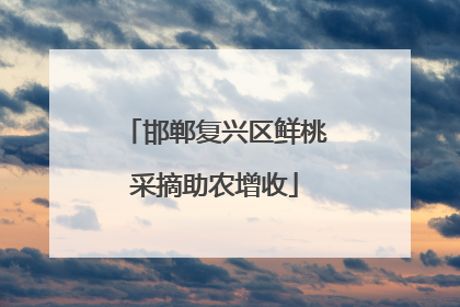 邯郸复兴区鲜桃采摘助农增收