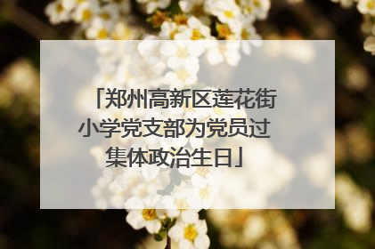 郑州高新区莲花街小学党支部为党员过集体政治生日