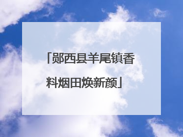 郧西县羊尾镇香料烟田焕新颜