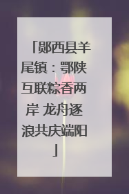 郧西县羊尾镇：鄂陕互联粽香两岸 龙舟逐浪共庆端阳