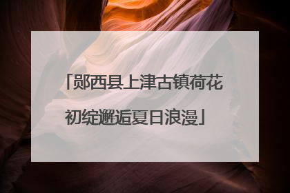 郧西县上津古镇荷花初绽邂逅夏日浪漫