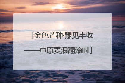 金色芒种·豫见丰收——中原麦浪翻滚时