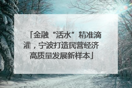 金融“活水”精准滴灌，宁波打造民营经济高质量发展新样本