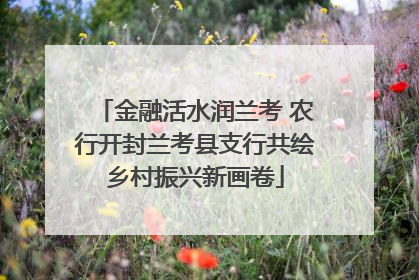 金融活水润兰考 农行开封兰考县支行共绘乡村振兴新画卷
