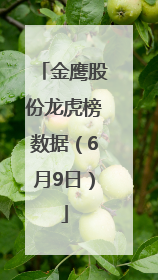 金鹰股份龙虎榜数据（6月9日）