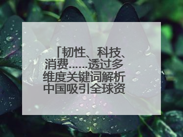 韧性、科技、消费……透过多维度关键词解析中国吸引全球资本“新磁场”
