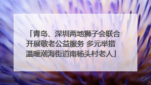 青岛、深圳两地狮子会联合开展敬老公益服务 多元举措温暖潮海街道南杨头村老人