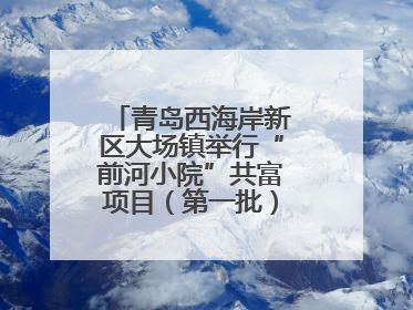青岛西海岸新区大场镇举行“前河小院”共富项目（第一批）集中开业仪式