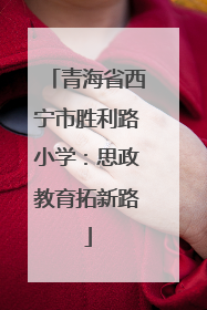 青海省西宁市胜利路小学：思政教育拓新路