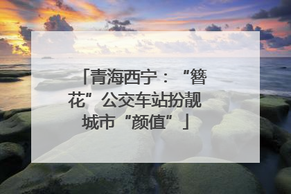 青海西宁：“簪花”公交车站扮靓城市“颜值”