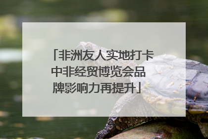 非洲友人实地打卡 中非经贸博览会品牌影响力再提升