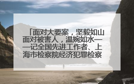 面对大要案，坚毅如山面对被害人，温婉如水——记全国先进工作者、上海市检察院经济犯罪检察部主任马玮玮