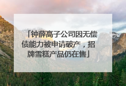 钟薛高子公司因无偿债能力被申请破产，招牌雪糕产品仍在售